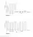 Fig. 19 - Methods for amplification and sequencing using thermostable TthPrimPol