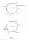 Fig. 14 - Thermostable trichoderma cellulase