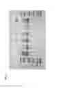 Fig. 04 - Purification of recombinant alpha galactosidase A