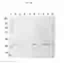 Fig. 28 - Novel Polypeptides Having Endolysin Activity and Uses Thereof