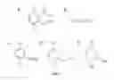 Fig. 02 - Compositions Having Dicamba Decarboxylase Activity and Methods of Use