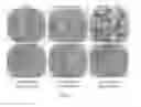 Fig. 03 - Compositions Having Dicamba Decarboxylase Activity and Methods of Use