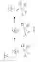 Fig. 11 - Compositions Having Dicamba Decarboxylase Activity and Methods of Use