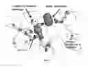 Fig. 12 - Compositions Having Dicamba Decarboxylase Activity and Methods of Use