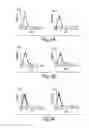 Fig. 07 - Multi-chain eukaryotic display vectors and uses thereof