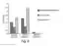 Fig. 08 - Multi-chain eukaryotic display vectors and uses thereof