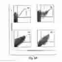 Fig. 10 - Multi-chain eukaryotic display vectors and uses thereof