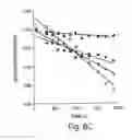 Fig. 12 - Multi-chain eukaryotic display vectors and uses thereof