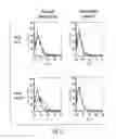Fig. 16 - Multi-chain eukaryotic display vectors and uses thereof