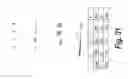 Fig. 33 - Protein screening methods