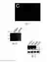 Fig. 03 - siRNA-mediated gene silencing