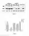 Fig. 12 - siRNA-mediated gene silencing