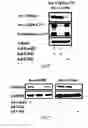 Fig. 19 - siRNA-mediated gene silencing