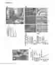 Fig. 04 - Modulation of RNA activity and vascular permeability
