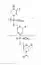 Fig. 01 - EXON SKIPPING COMPOSITIONS FOR TREATING MUSCULAR DYSTROPHY