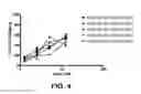 Fig. 09 - EXON SKIPPING COMPOSITIONS FOR TREATING MUSCULAR DYSTROPHY