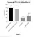 Fig. 19 - DNAI FOR THE MODULATION OF GENES