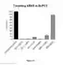 Fig. 27 - DNAI FOR THE MODULATION OF GENES