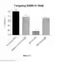 Fig. 28 - DNAI FOR THE MODULATION OF GENES