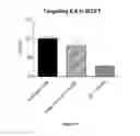 Fig. 32 - DNAI FOR THE MODULATION OF GENES
