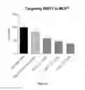 Fig. 43 - DNAI FOR THE MODULATION OF GENES