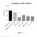 Fig. 58 - DNAI FOR THE MODULATION OF GENES