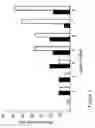 Fig. 03 - Selection of RNA-aptamers as anti-malaria agents