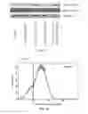Fig. 04 - Morpholinos, morpholino upregulating, and associated methods