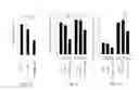 Fig. 12 - Morpholinos, morpholino upregulating, and associated methods