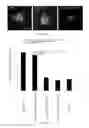 Fig. 13 - Morpholinos, morpholino upregulating, and associated methods