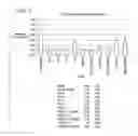 Fig. 02 - Long interfering nucleic acid duplexes targeting multiple RNA targets