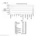 Fig. 04 - Long interfering nucleic acid duplexes targeting multiple RNA targets