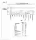 Fig. 08 - Long interfering nucleic acid duplexes targeting multiple RNA targets