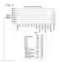 Fig. 12 - Long interfering nucleic acid duplexes targeting multiple RNA targets