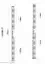 Fig. 14 - Long interfering nucleic acid duplexes targeting multiple RNA targets
