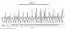 Fig. 18 - Long interfering nucleic acid duplexes targeting multiple RNA targets