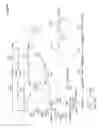 Fig. 09 - MICROORGANISMS AND METHODS FOR PRODUCING BUTADIENE AND RELATED COMPOUNDS BY FORMATE ASSIMILATION