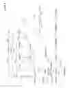 Fig. 10 - MICROORGANISMS AND METHODS FOR PRODUCING BUTADIENE AND RELATED COMPOUNDS BY FORMATE ASSIMILATION