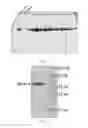 Fig. 12 - Light-switchable gene expression system and the methods for controlling gene expression in prokaryotic bacterium