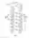 Fig. 02 - Engineering microorganisms