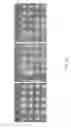 Fig. 19 - Engineering microorganisms