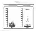 Fig. 03 - Mutagenesis of plants for overproduction of selective estrogen receptor modulators