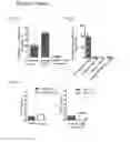 Fig. 03 - IRES elements for expression of polypeptides and methods of using the same