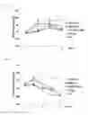Fig. 09 - Resveratrol-enriched rice and the use thereof