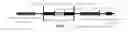 Fig. 01 - DNA CONSTRUCT AND METHOD FOR TRANSGENE EXPRESSION