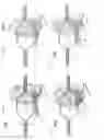 Fig. 04 - CIS-blocked guide RNA