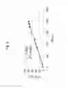 Fig. 11 - Production of isoprenoids