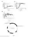 Fig. 04 - Genetically engineered bacterium with altered carbon monoxide dehydrogenase (CODH) activity