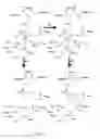Fig. 11 - ENZYMATIC CONVERSION OF BOTH ENANTIOMERS OF 1,2-PROPANEDIOL TO PROPIONALDEHYDE
