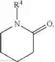 Fig. 13 - Biocatalytic transamination process